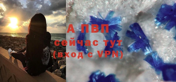 дживик Ельня