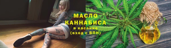 гидропоника Елабуга
