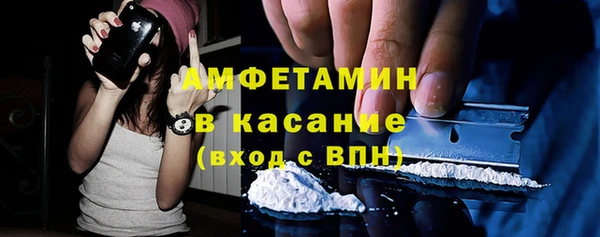 дживик Ельня