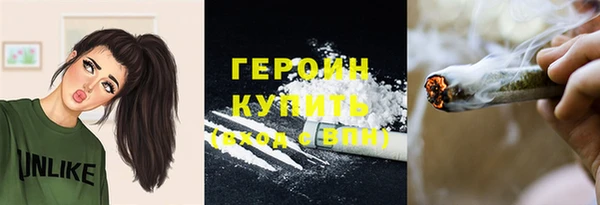 шишки Горняк