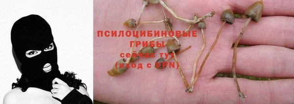 синтетический гашиш Елизово
