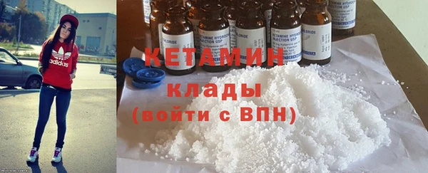дживик Ельня
