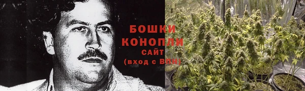 амф Гусь-Хрустальный