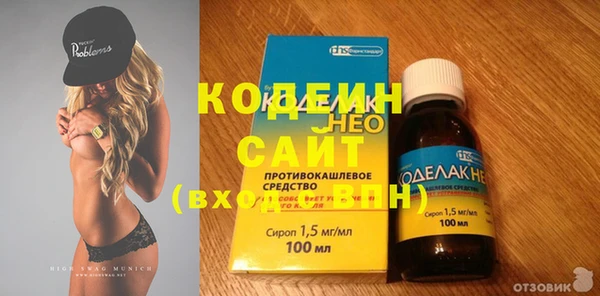 дживик Ельня