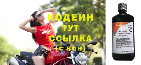дживик Ельня
